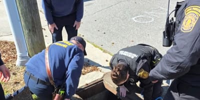 Animal control officers