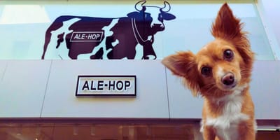 ale hop perros