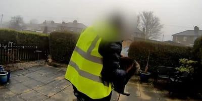 Amazon-Fahrer klaut Katze Nora