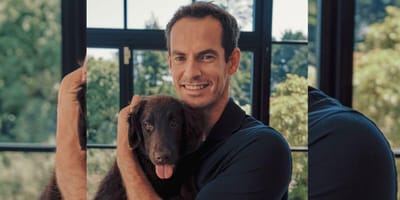 Andy Murray and his puppy