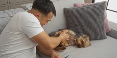 Asiate spielt mit Hund