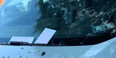Notas en el parabrisas