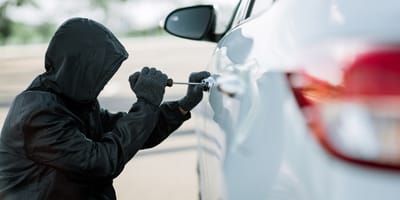 Auto-Einbrecher klaut Hund