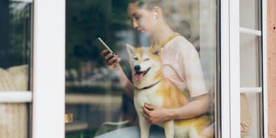 Baasjes leg je smartphone neer, je hond heeft aandacht nodig