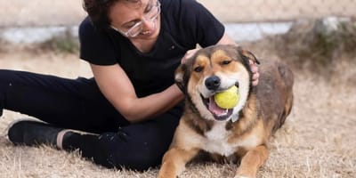 Bailey, de hond die werd geadopteerd maar terugkwam naar het asiel