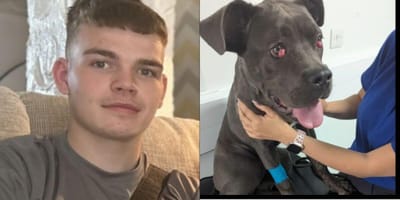 Banned dog owner and cane corso