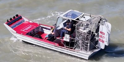 Ein Rettungsboot eilt einem Hund zu Hilfe