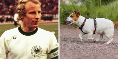 Berti Vogts' Spitzname war "der Terrier"