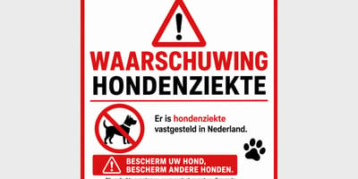 Besmettelijke hondenziekte rukt op in Nijmegen en Utrecht