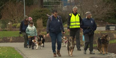 Besucher des Hundetags im Mannheimer Luisenpark