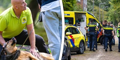 Bij brand in woning Rotterdam overleeft kat het niet en hond is er slecht aan toe