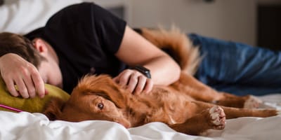 Bijna de helft van de Nederlanders slaapt met hun huisdier in bed