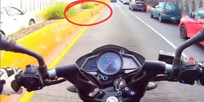 Motorrijder ziet kattenbabyatje op de weg