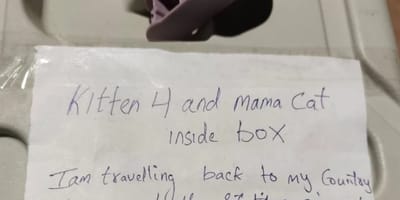 Handwritten note on a pet carrier