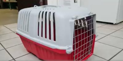 Transportín abandonado