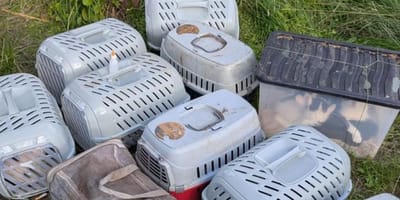 Boîtes abandonnées