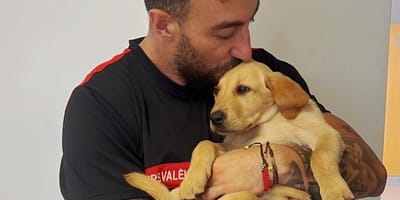 bombero-valencia-perra-samba-en-brazos
