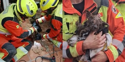 bomberos-valencia-rescatan-perro-tuberia-xavita
