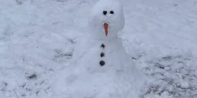 Snowman
