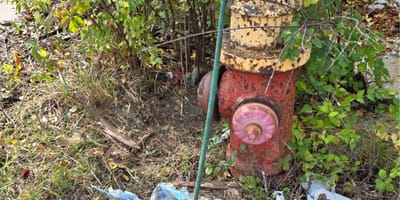 Bouche incendie