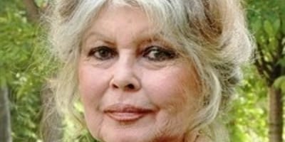 Brigitte Bardot