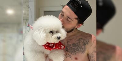Brooklyn Beckham holding white dog