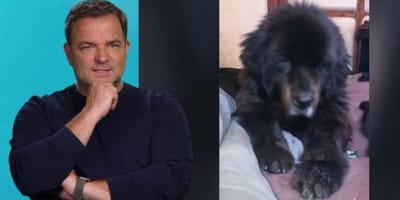 Brunos Fall schockt Martin Rütter