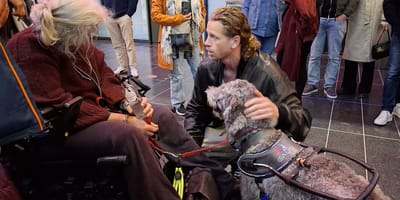 Cabariet Patrick Laureij stuurt publiek weg vanwege hulphond