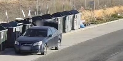cachorros-arrojados-contenedor-basura-villarrobledo-albacete