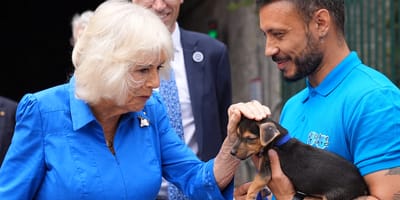 Camilla en een asiel pup