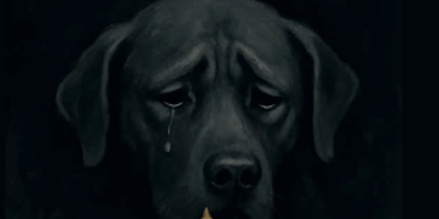 cane cerca giustizia