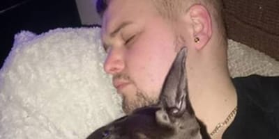 Joven muere de cáncer perro