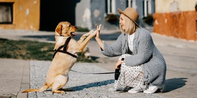 cane e ragazza