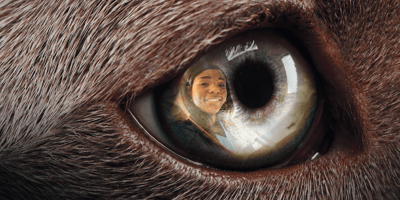 cane e veterinario