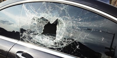 Hund stirbt, nachdem er in überhitztem Auto zurückgelassen wurde