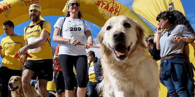 cani  e padroni che corrono