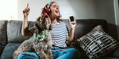 canciones famosas italianas e internacionales dedicadas a los perros