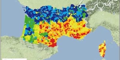 Zone à risque en France leishmaniose canine