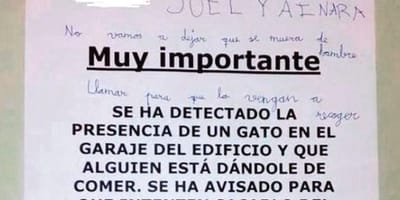 cartel-joel-ainara-comida-gato-garaje