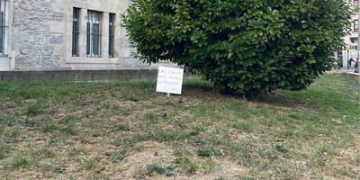 cartel-recoger-cacas-perro-vitoria-gasteiz