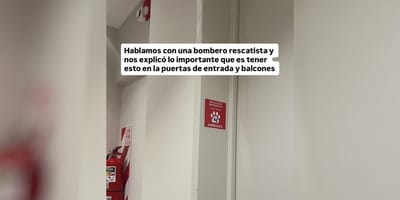 cartel-salvar-animales-emergencia