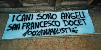 cartello contro il divieto dei cani in chiesa
