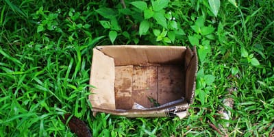 carton