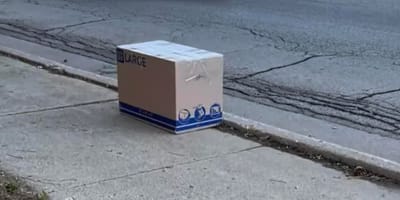 Abandoned cardboard box