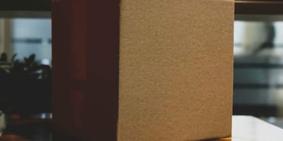 Abandoned cardboard box