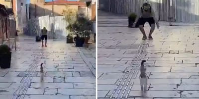 Katze rennt auf ihren Halter zu