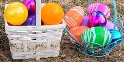 Easter egg hunt