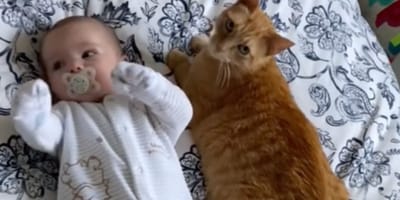 Katze und Baby