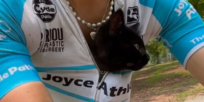 kat op de fiets