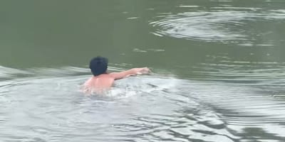 A puppy being rescued from drowning